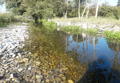 4 | Mairie de Hilsenheim GEMAPI Ostwald 3