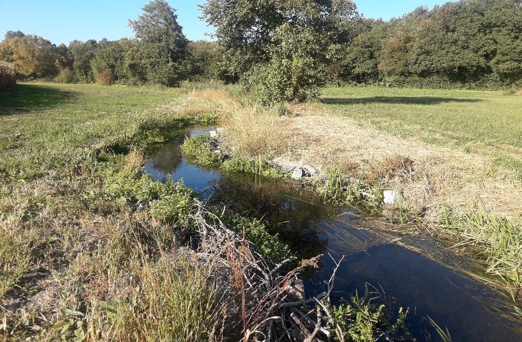 5 | Mairie de Hilsenheim GEMAPI Erstein 4