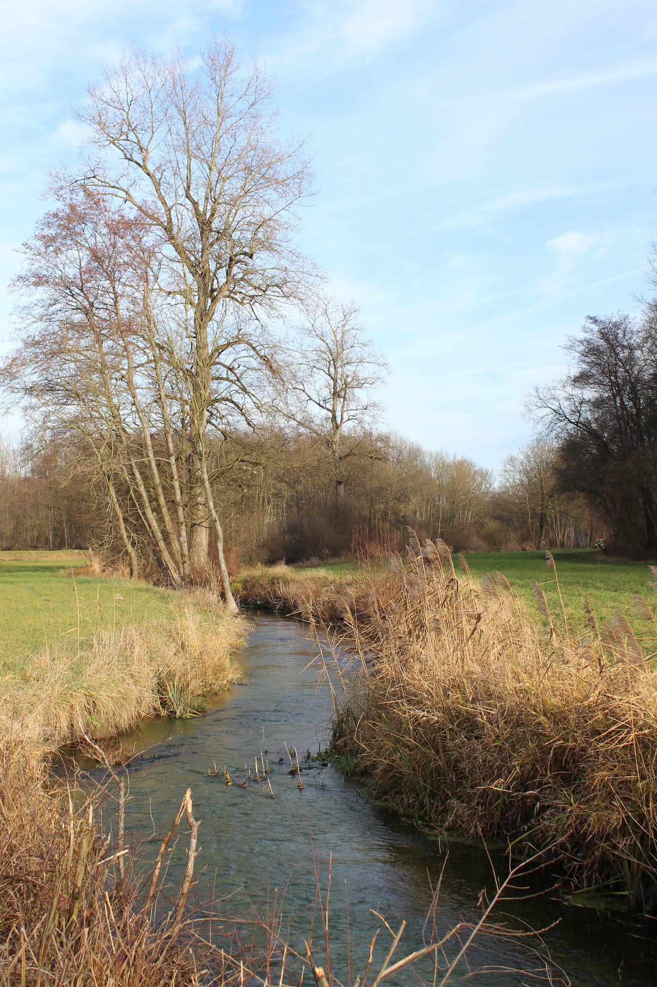 Hilsenheim : une commune touristique Barr