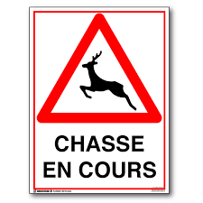 Battues de chasse S&eacute;lestat